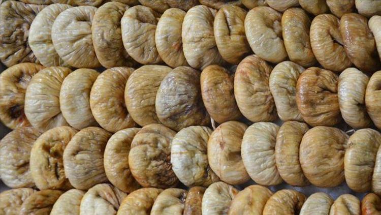 BAĞIŞIKLIK SİSTEMİNİ GÜÇLENDİRİR: VİTAMİN VE MİNERAL DESTEĞİ