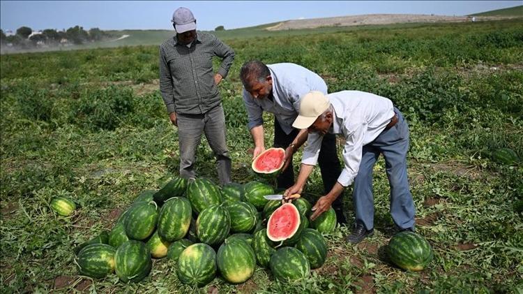 Göz sağlığına iyi gelir: