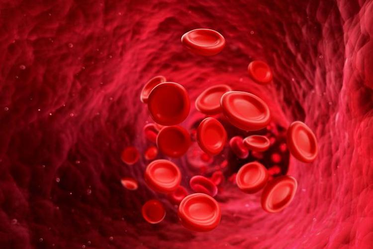Yeni kan grubu keşfedildi Dünyada sadece 1 kişide bulunuyor: 68 yaşındaki kadında tespit edildi
