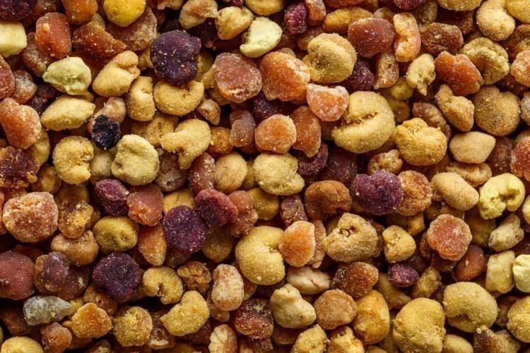 Bir kaşık tüketen günde 1 kutu kolajen içmiş kadar oluyor Yaşlanmayı tarihe gömen besin: Hücreleri sıfırlıyor, kırışıklıkları düzleştiriyor