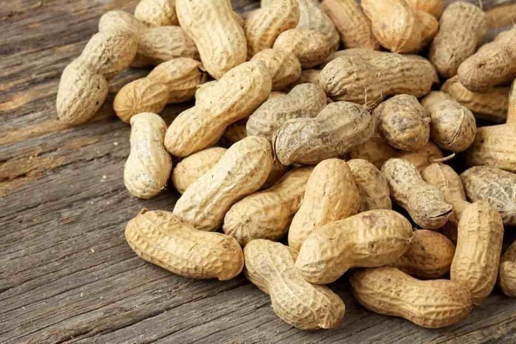 Bir kaşık tüketen günde 1 kutu kolajen içmiş kadar oluyor Yaşlanmayı tarihe gömen besin: Hücreleri sıfırlıyor, kırışıklıkları düzleştiriyor