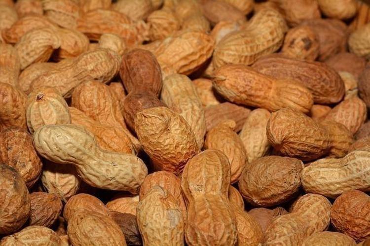 Bir kaşık tüketen günde 1 kutu kolajen içmiş kadar oluyor Yaşlanmayı tarihe gömen besin: Hücreleri sıfırlıyor, kırışıklıkları düzleştiriyor