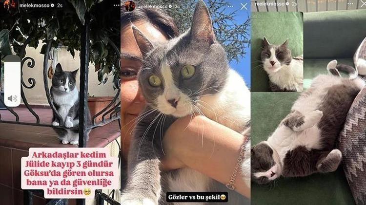 KEDİSİ JÜLİDE KAYBOLDU