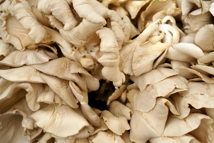 B12 ve D vitamini deposu ama dikkat Kontrolsüz tüketildiğinde karaciğeri iflas ettiriyor: Uzmanlar uyardı