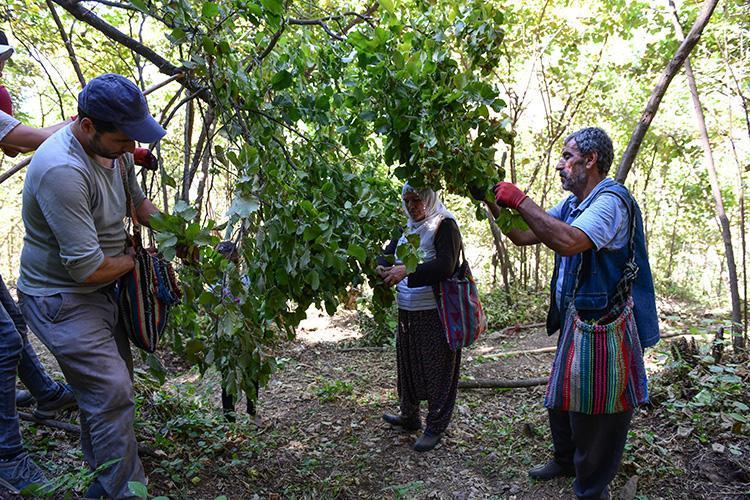 Günlük ücreti 1200 TL oldu Çalışacak insan bulamıyorlar