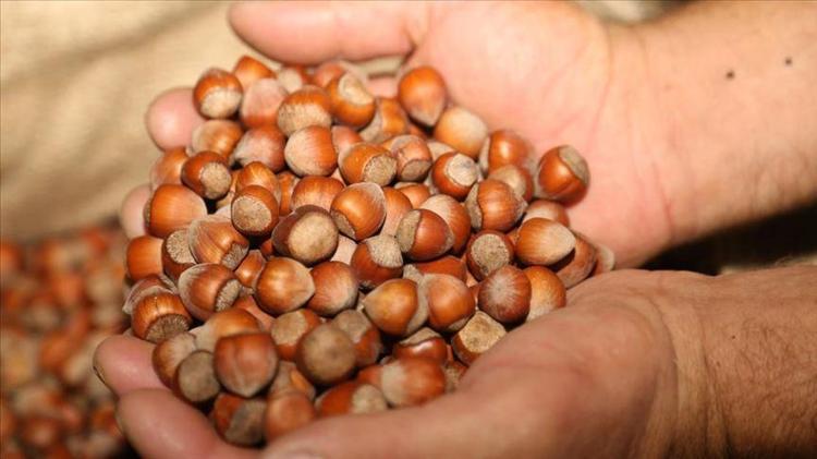 Günlük ücreti 1200 TL oldu Çalışacak insan bulamıyorlar