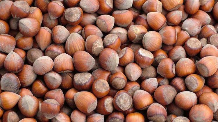 Günlük ücreti 1200 TL oldu Çalışacak insan bulamıyorlar