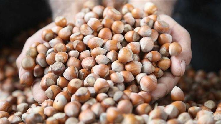 Günlük ücreti 1200 TL oldu Çalışacak insan bulamıyorlar