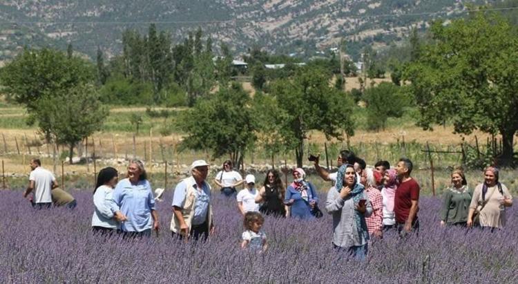 Köyde küçük bir başlangıçtı, şimdi binlerce lira kazandırıyor Doğadan gelen kazanç: Sağlık da var, gelir de...