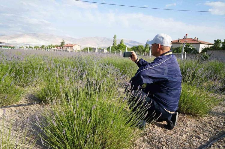 Köyde küçük bir başlangıçtı, şimdi binlerce lira kazandırıyor Doğadan gelen kazanç: Sağlık da var, gelir de...