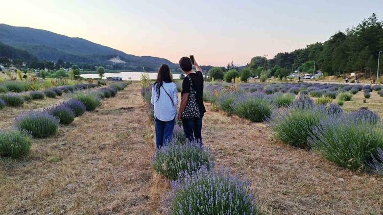 Köyde küçük bir başlangıçtı, şimdi binlerce lira kazandırıyor Doğadan gelen kazanç: Sağlık da var, gelir de...