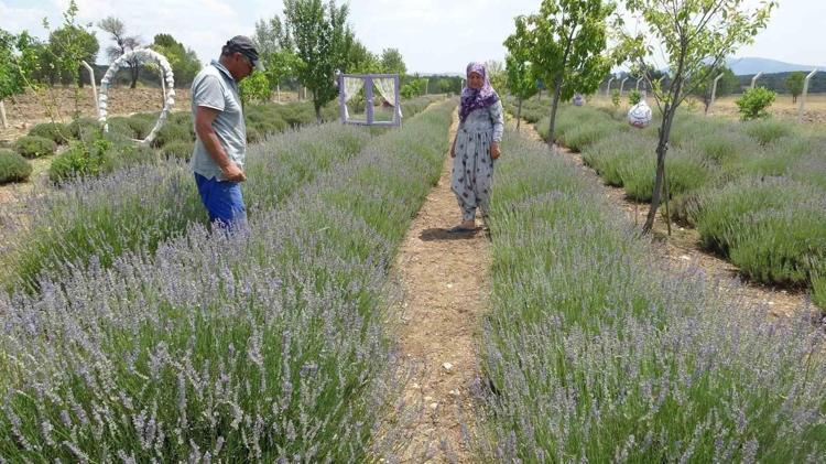 Köyde küçük bir başlangıçtı, şimdi binlerce lira kazandırıyor Doğadan gelen kazanç: Sağlık da var, gelir de...