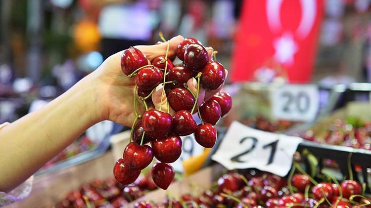 Saplarından çay yapıp içebilirsiniz Faydası bilimsel olarak kanıtlandı