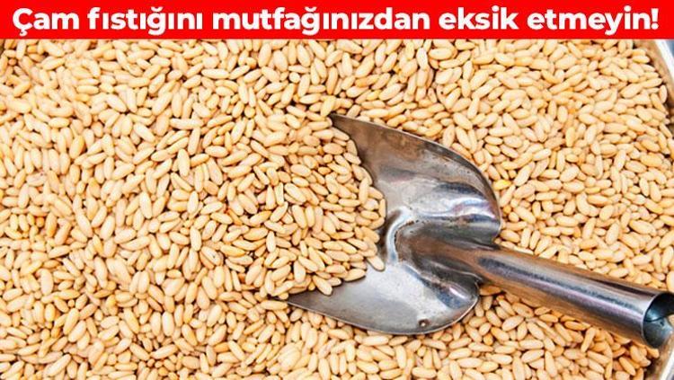 Çam fıstığının faydalarını kimse bilmiyor: Kemikleri beton gibi yapıyor, damarları çelik kadar kuvvetlendiriyor
