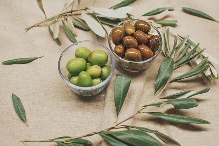Kansersavar besinler listesinde ilk sırada Osman Müftüoğlu herkesin merak ettiği soruyu yanıtladı: Siyah zeytin mi faydalı yeşil zeytin mi ı