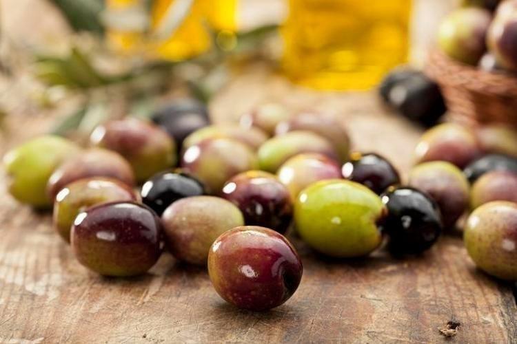 Kansersavar besinler listesinde ilk sırada Osman Müftüoğlu herkesin merak ettiği soruyu yanıtladı: Siyah zeytin mi faydalı yeşil zeytin mi ı