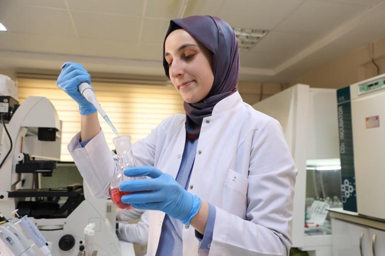 Doğanın kansersavar tohumu Çin tıbbında da kullanılıyor: Böbrekleri diyalizin pençesinden kurtarıp bakteri ve mantarların kökünü kazıyor