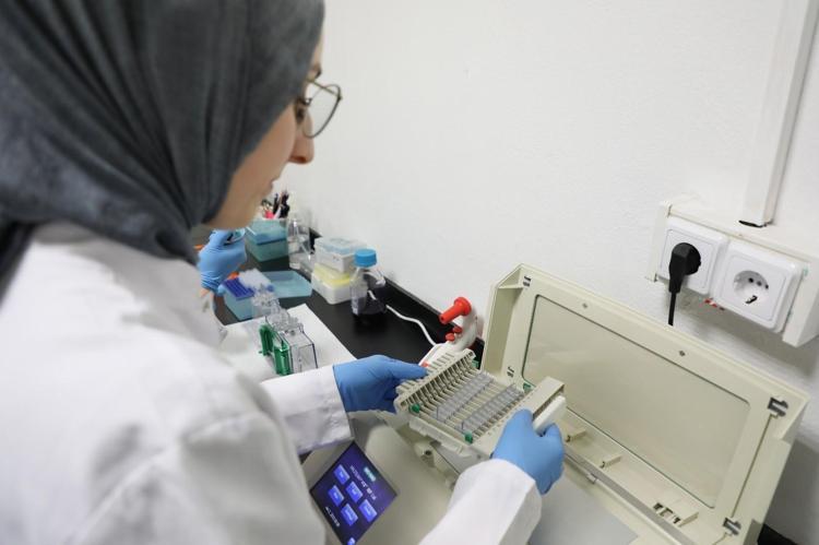 Doğanın kansersavar tohumu Çin tıbbında da kullanılıyor: Böbrekleri diyalizin pençesinden kurtarıp bakteri ve mantarların kökünü kazıyor