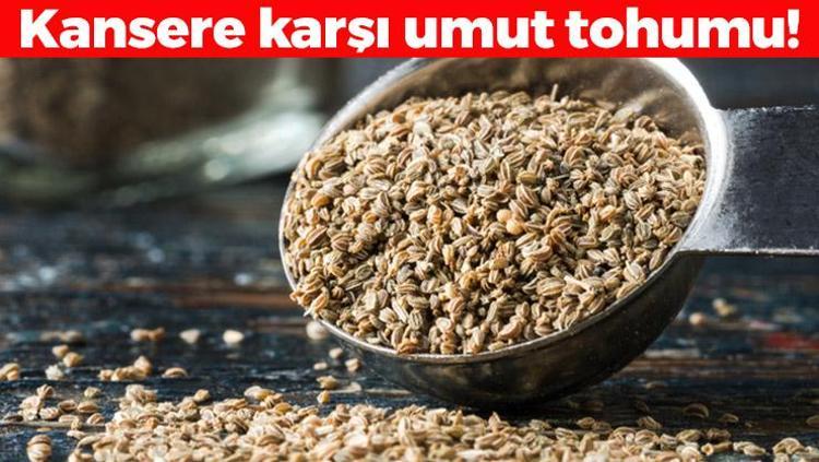 Doğanın kansersavar tohumu Çin tıbbında da kullanılıyor: Böbrekleri diyalizin pençesinden kurtarıp bakteri ve mantarların kökünü kazıyor