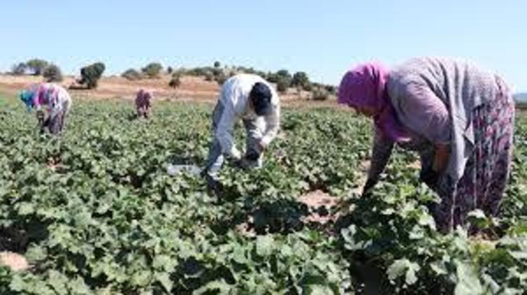 YAZIN AL, KIŞIN SAĞLIĞINI KORU