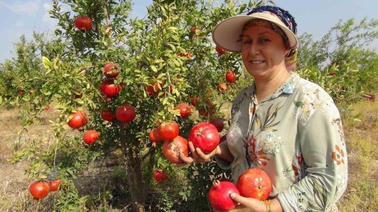 Sirkeden 10 kat daha güçlü Bağırsakları çamaşır suyu gibi temizliyor, tıkalı damarları saniyesinde açıyor