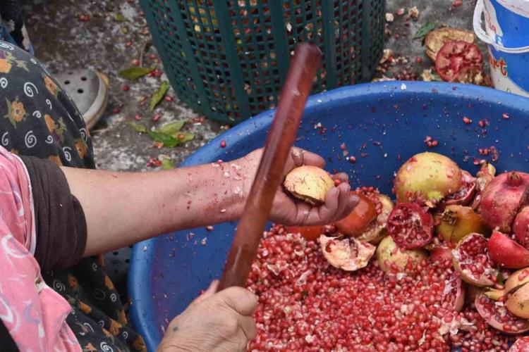 Sirkeden 10 kat daha güçlü Bağırsakları çamaşır suyu gibi temizliyor, tıkalı damarları saniyesinde açıyor