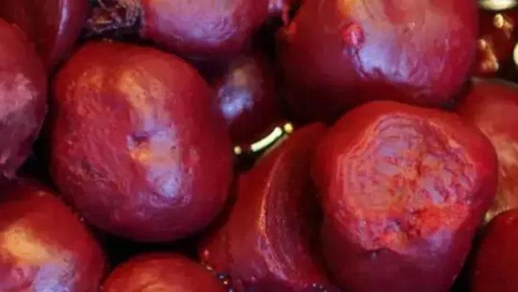 Kan damarlarını anında genişletiyor Bağırsak florasını terazi gibi dengeliyor: Vücuttaki iltihabın kökünü kazıyor, poşet poşet alıp turşusunu yapın