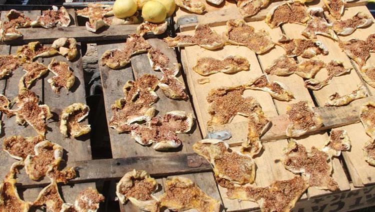 Mersinde hasat ediliyor Resmen altın yılını yaşıyor: Kilosu 150 TLden satılıyor, Ukrayna ve Dubaiye gönderiliyor