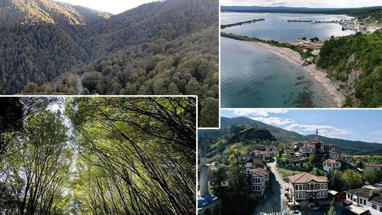 İstanbula yakın konumuyla dikkat çekiyorlar Huzurlu tatillerin değişmez adresleri: Bambaşka bir atmosferin içine çekileceksiniz