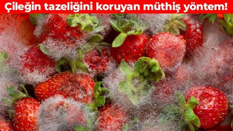 Temizleme suyuna 1 kaşık ekleyin Çileklerin küf tutmasını engelliyor: Haftalarca tazeliğini koruyor
