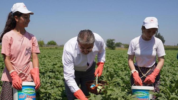 Tadını kimse beğenmiyor ama dünyanın en sağlıklı sebzesi Doğru pişirilirse tadıyla damak çatlatıyor