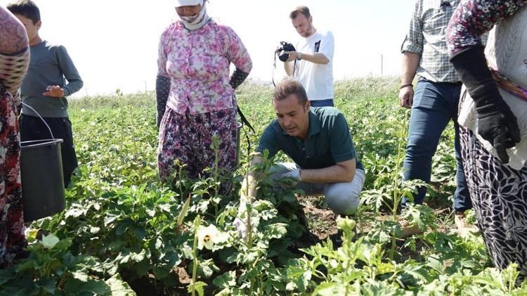 Tadını kimse beğenmiyor ama dünyanın en sağlıklı sebzesi Doğru pişirilirse tadıyla damak çatlatıyor