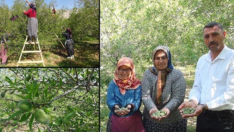 KALP SAĞLIĞINI DESTEKLEYEN MÜKEMMEL BİR MEYVE