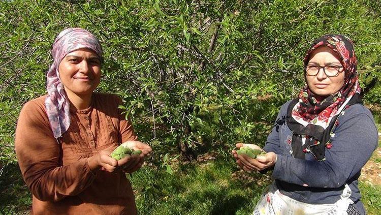 ÇAĞLANIN DİĞER SAĞLIK FAYDALARI
