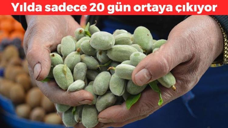 Yılda sadece 20 gün ortaya çıkıyor Tam bir şifa deposu: Kan şekerini terazi gibi dengeliyor, safra taşı oluşumunu engelliyor