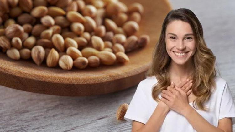 Osmanlı saray mutfağından günümüze uzanan şifa Bağırsakları makine gibi çalıştırıyor, kan şekerini saniyesinde dengeliyor
