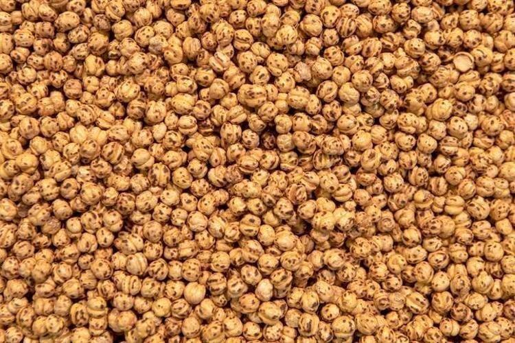 Damar daralmasını önleyen tek besin, tıkanıklığı açıyor Avuç avuç tüketmek protein ihtiyacını gideriyor