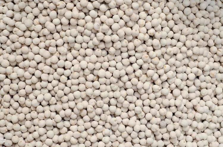 Damar daralmasını önleyen tek besin, tıkanıklığı açıyor Avuç avuç tüketmek protein ihtiyacını gideriyor