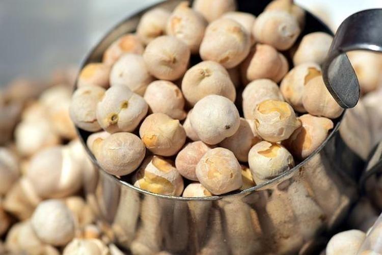 Damar daralmasını önleyen tek besin, tıkanıklığı açıyor Avuç avuç tüketmek protein ihtiyacını gideriyor