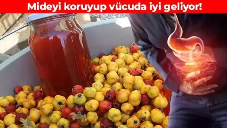 Doğal mide ilacı olarak da biliniyor Sirkesini yapıp kaşık kaşık tüketin: Bağırsakları fokur fokur çalıştırıyor, bağışıklığı demir gibi yapıyor