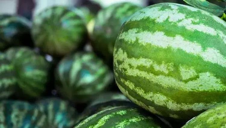 Sadece üç tık yetiyor Çevrenizdekiler bu yeteneğinizi öve öve bitiremeyecek: En tatlı karpuzu bu şekilde seçin