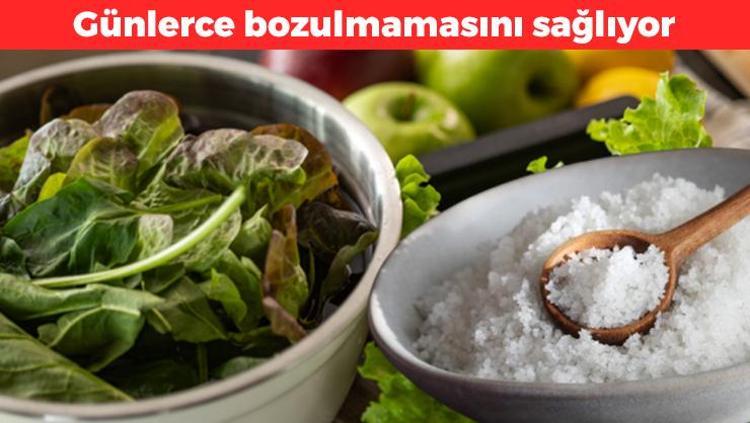 Yeşilliklerin günlerce bozulmamasını sağlıyor Tuzunu bol koymak yeterli oluyor: Taze yeşillik yemenin sırrı buymuş