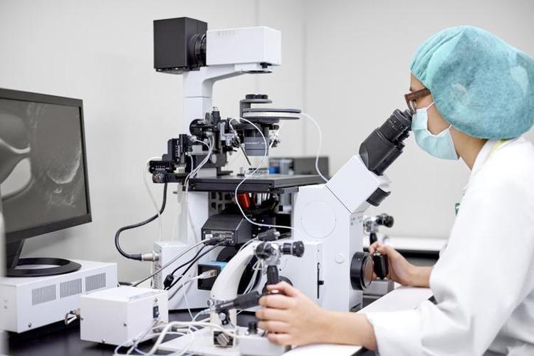 Dünyanın en yaşlı bebeği doğdu Tam 31 yaşında: Tıp dünyasında yankı uyandırdı