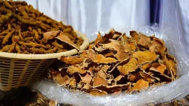 Bardak bardak içmeden iki kere düşünün Şifası saymakla bitmiyor ama zehre dönüşebiliyor: Yüzyıllardır şifa saçan geleneksel içecek