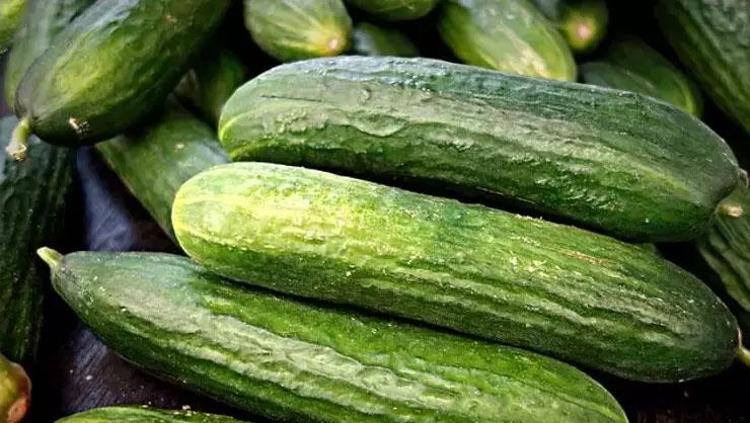 UZUN SÜRE TAZELİĞİNİ KORUMAK İÇİN ALTIN KURALLAR