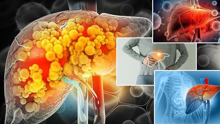 Vaka sayılarında yüzde 76 oranında artış bekleniyor Dünyayı tehdit eden tehlike: Bilim insanları risk faktörlerini açıkladı