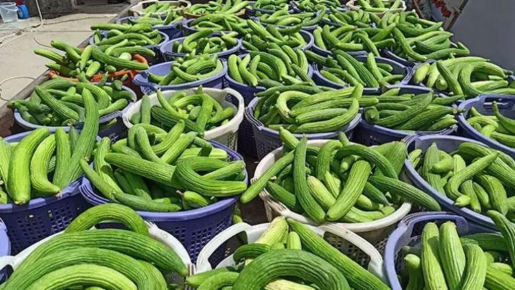 Kemiklere K vitamini yükleyip çelik gibi güçlendiriyor Çarşıda, pazarda kilo kilo alın: Tam bir potasyum zengini
