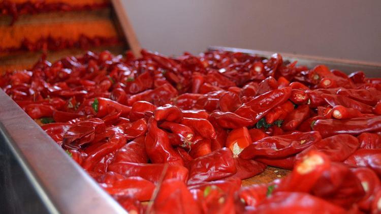 METABOLİZMAYI HIZLANDIRARAK DOLAŞIMI ARTIRIR