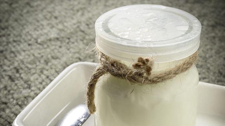 Herkes marketten aldınız zannedecek Günlerce ekşimiyor, taş gibi yoğurdun sırrı buymuş