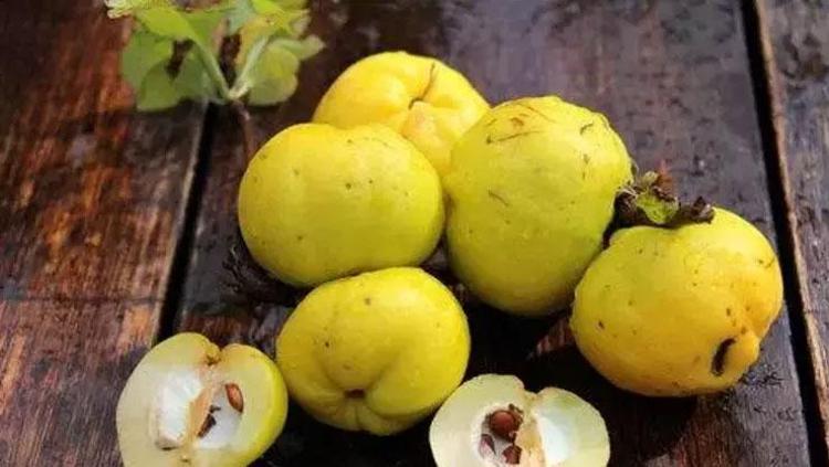 Hem kendisi hem tatlısı şifa Mevsiminde tüketmek gerekiyor: Vücuttaki ödemi söküyor, bağırsakları harıl harıl çalıştırıyor